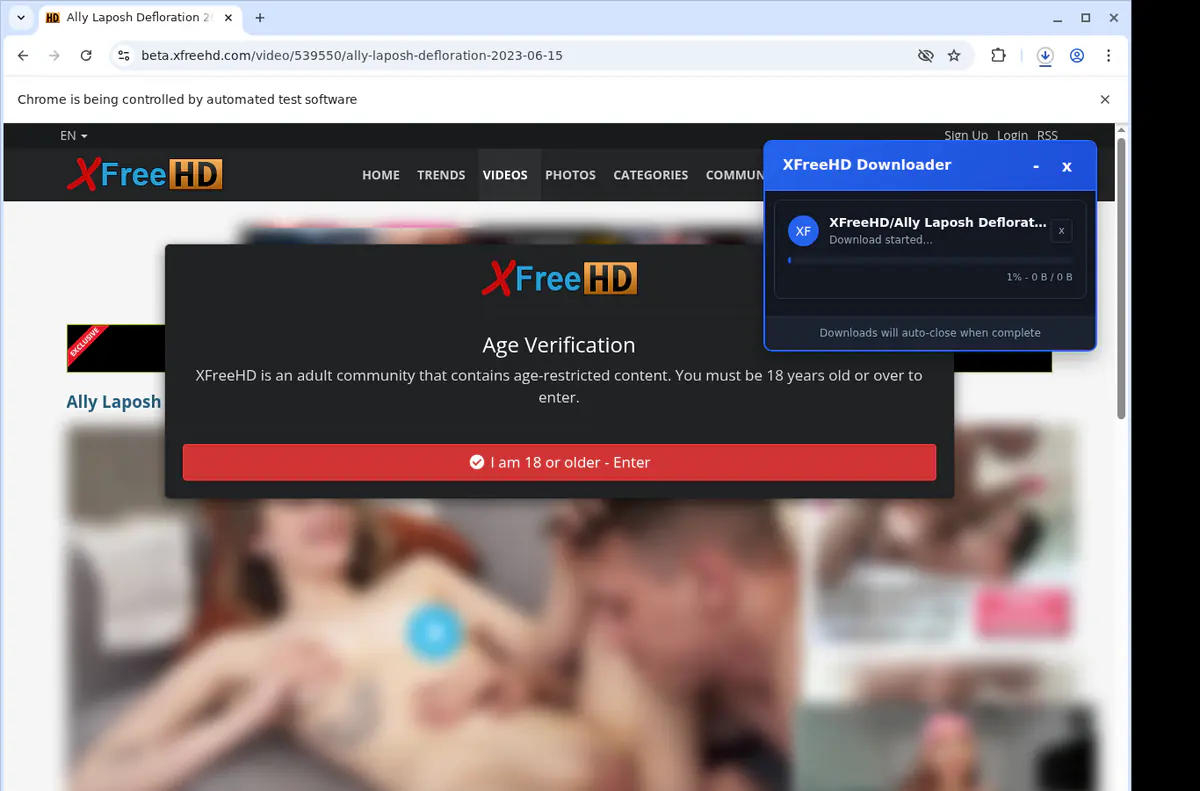 XFreeHD Video Downloader browser extension screenshot 2